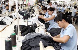 Lời giải cho bài toán xuất khẩu bền vững 